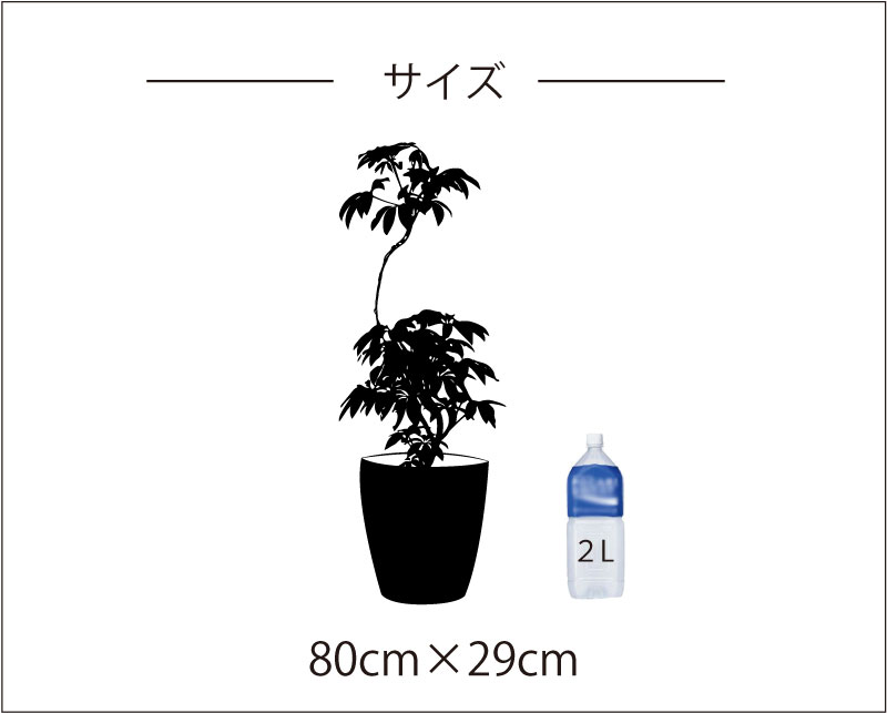 植物ウォールステッカー