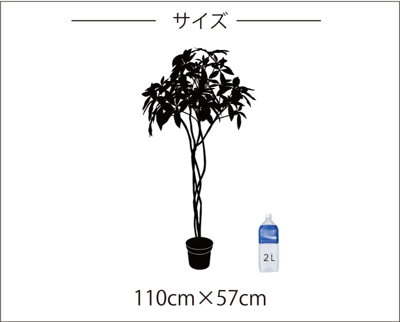 植物ウォールステッカー