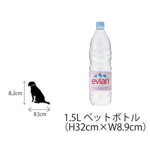 fzn-001-001