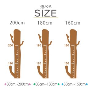 s113-new