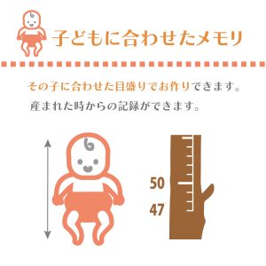 s113-new