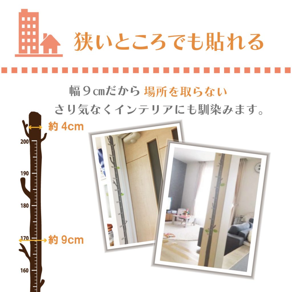 s113-new