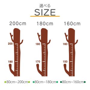 s113-new
