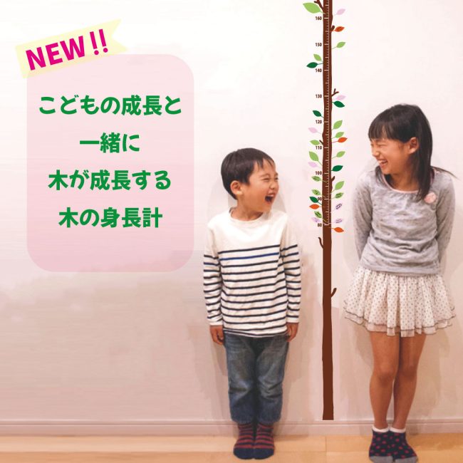 s113-new