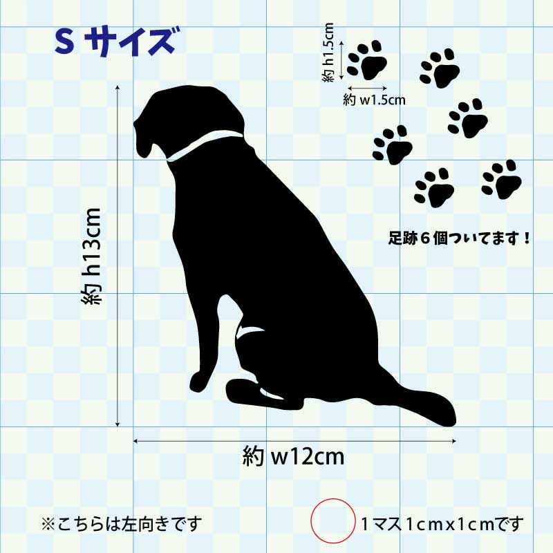 fzn-001-001
