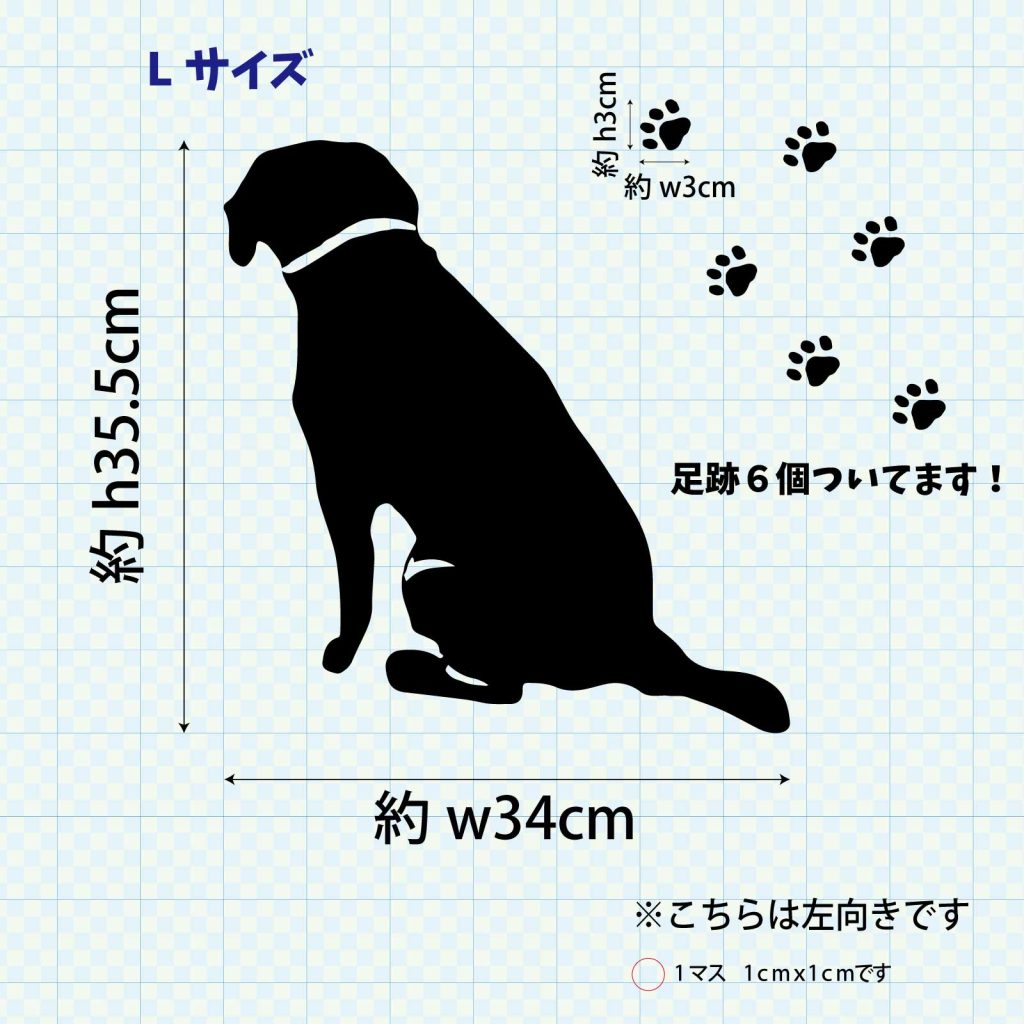 fzn-001-001