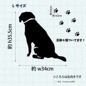 fzn-001-001